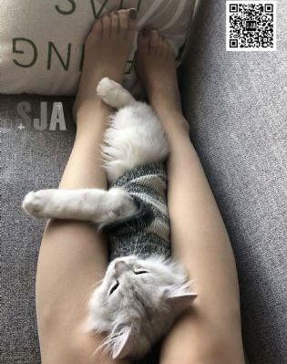 雄伟粗壮肌肉高H_BD电影免费在线