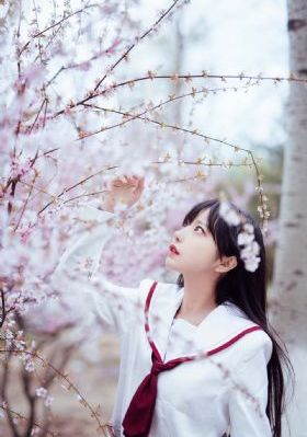 潘金莲新传 电影_720迅雷电影在线
